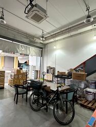 REVV (D22), Factory #580621571